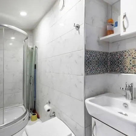 Cozy & Comfy Studio At Beyoglu - 16 公寓 伊斯坦布尔
